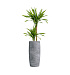Кашпо CONCRETIKA CIGAR CONCRETE GREY LIGHT D43H92 заказать и купить с доставкой из магазина производителя Конкретика по цене 39 390 руб.