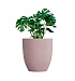 Кашпо CONCRETIKA VASE 3 COCOA D75H82 заказать и купить с доставкой из магазина производителя Конкретика по цене 50 560 руб.