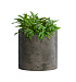 Кашпо CONCRETIKA CYLINDER BREZENT GREY D25H25 заказать и купить с доставкой из магазина производителя Конкретика по цене 6 650 руб.