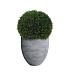 Кашпо CONCRETIKA BARREL CONCRETE GREY LIGHT D44H48 заказать и купить с доставкой из магазина производителя Конкретика по цене 18 630 руб.