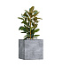 Кашпо CONCRETIKA CUBE CONCRETE GREY LIGHT 70x70x70 заказать и купить с доставкой из магазина производителя Конкретика по цене 65 740 руб.