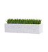 Кашпо CONCRETIKA BALCONY EGG WHITE 60x20x15 заказать и купить с доставкой из магазина производителя Конкретика по цене 8 870 руб.