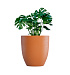 Кашпо CONCRETIKA VASE 3 CARROT D75H82 заказать и купить с доставкой из магазина производителя Конкретика по цене 50 560 руб.