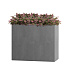 Кашпо CONCRETIKA DIVIDER LONDON GREY 60x30x50 заказать и купить с доставкой из магазина производителя Конкретика по цене 24 390 руб.