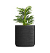 Кашпо CONCRETIKA CYLINDER XL EROSIA BLACK D100H105 заказать и купить с доставкой из магазина производителя Конкретика по цене 103 290 руб.