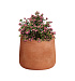 Кашпо CONCRETIKA CONE RED CLAY D24H26 заказать и купить с доставкой из магазина производителя Конкретика по цене 6 270 руб.