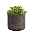 Кашпо CONCRETIKA TOPPER TAUPE CONCRETE D40H40 заказать и купить с доставкой из магазина производителя Конкретика по цене 14 910 руб.