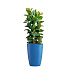 Кашпо CONCRETIKA CONUS DARK BLUE D41H57 заказать и купить с доставкой из магазина производителя Конкретика по цене 15 520 руб.