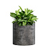 Кашпо CONCRETIKA CYLINDER CONCRETE GREY DARK D30H30 заказать и купить с доставкой из магазина производителя Конкретика по цене 10 640 руб.