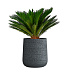 Кашпо CONCRETIKA CONE EROSIA GREY D50H54 заказать и купить с доставкой из магазина производителя Конкретика по цене 27 570 руб.