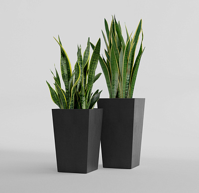 Кашпо CONCRETIKA CONIC NERO 30x30x50 заказать и купить Кашпо CONCRETIKA CONIC NERO 30x30x50 заказать и купить по цене 13 310 руб ниже рынка от производителя с доставкой.