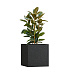 Кашпо CONCRETIKA CUBE EGG BLACK 70x70x70 заказать и купить с доставкой из магазина производителя Конкретика по цене 54 780 руб.