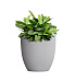 Кашпо CONCRETIKA VASE 3 SHALE D30H32 заказать и купить с доставкой из магазина производителя Конкретика по цене 9 320 руб.