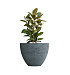 Кашпо CONCRETIKA UPON EROSIA GREY D85H75 заказать и купить с доставкой из магазина производителя Конкретика по цене 48 450 руб.