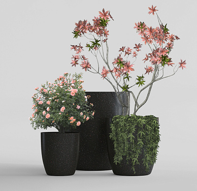 Кашпо CONCRETIKA VASE 3 EGG BLACK D50H55 заказать и купить Кашпо CONCRETIKA VASE 3 EGG BLACK D50H55 заказать и купить по цене 19 960 руб ниже рынка от производителя с доставкой.
