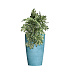 Кашпо CONCRETIKA CONUS BLUE SKY D39H60 заказать и купить с доставкой из магазина производителя Конкретика по цене 18 790 руб.