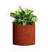 Кашпо CONCRETIKA CYLINDER EROSIA CORAL D30H30 заказать и купить с доставкой из магазина производителя Конкретика по цене 10 200 руб.