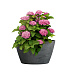 Кашпо CONCRETIKA BOWL SMOKEY BLUE D52H29 заказать и купить с доставкой из магазина производителя Конкретика по цене 13 310 руб.