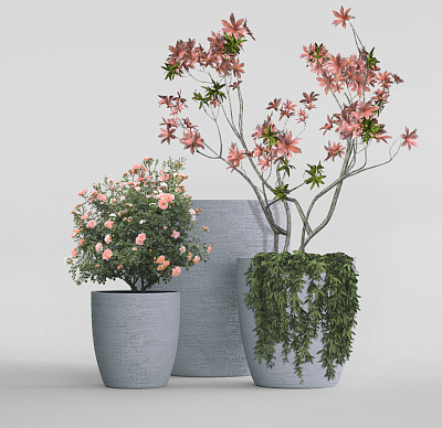Кашпо CONCRETIKA VASE 3 EROSIA WHITE D50H55 заказать и купить Кашпо CONCRETIKA VASE 3 EROSIA WHITE D50H55 заказать и купить по цене 22 950 руб ниже рынка от производителя с доставкой.