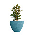 Кашпо CONCRETIKA UPON EROSIA BLUE D85H75 заказать и купить с доставкой из магазина производителя Конкретика по цене 48 450 руб.