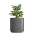 Кашпо CONCRETIKA CYLINDER XL LONDON GREY D100H105 заказать и купить с доставкой из магазина производителя Конкретика по цене 89 910 руб.
