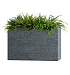 Кашпо CONCRETIKA DIVIDER EROSIA GREY 90x35x70 заказать и купить с доставкой из магазина производителя Конкретика по цене 48 190 руб.