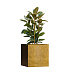 Кашпо CONCRETIKA CUBE RICH GOLD 70x70x70 заказать и купить с доставкой из магазина производителя Конкретика по цене 62 990 руб.
