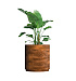 Кашпо CONCRETIKA CYLINDER XL CAYMAN BROWN D80H85 заказать и купить с доставкой из магазина производителя Конкретика по цене 67 590 руб.