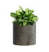 Кашпо CONCRETIKA CYLINDER BREZENT GREY D30H30 заказать и купить с доставкой из магазина производителя Конкретика по цене 10 640 руб.