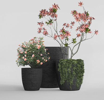 Кашпо CONCRETIKA VASE 3 EROSIA BLACK D60H65 заказать и купить Кашпо CONCRETIKA VASE 3 EROSIA BLACK D60H65 заказать и купить по цене 39 180 руб ниже рынка от производителя с доставкой.