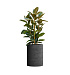 Кашпо CONCRETIKA CYLINDER EROSIA BLACK D50H65 заказать и купить с доставкой из магазина производителя Конкретика по цене 31 890 руб.