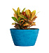 Кашпо CONCRETIKA BOWL COBALT BLUE D80H45 заказать и купить с доставкой из магазина производителя Конкретика по цене 32 570 руб.