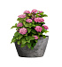 Кашпо CONCRETIKA BOWL CONCRETE GREY DARK D52H29 заказать и купить с доставкой из магазина производителя Конкретика по цене 13 310 руб.