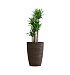 Кашпо CONCRETIKA CONUS EROSIA BROWN D50H69 заказать и купить с доставкой из магазина производителя Конкретика по цене 33 670 руб.