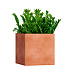 Кашпо CONCRETIKA CUBE RED CLAY 60x60x60 заказать и купить с доставкой из магазина производителя Конкретика по цене 36 490 руб.