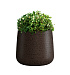 Кашпо CONCRETIKA CONE EROSIA BROWN D32H36 заказать и купить с доставкой из магазина производителя Конкретика по цене 11 730 руб.