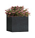 Кашпо CONCRETIKA CUBE ANTHRACITE 30x30x30 заказать и купить с доставкой из магазина производителя Конкретика по цене 11 970 руб.