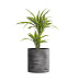 Кашпо CONCRETIKA CYLINDER CONCRETE GREY DARK D60H65 заказать и купить с доставкой из магазина производителя Конкретика по цене 37 260 руб.