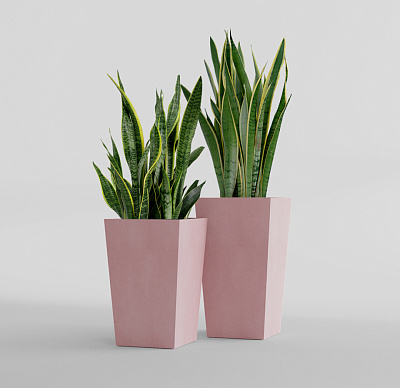 Кашпо CONCRETIKA CONIC COCOA 30x30x50 заказать и купить Кашпо CONCRETIKA CONIC COCOA 30x30x50 заказать и купить по цене 13 310 руб ниже рынка от производителя с доставкой.