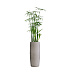 Кашпо CONCRETIKA CIGAR CONCRETE WHITE D27H70 заказать и купить с доставкой из магазина производителя Конкретика по цене 18 630 руб.