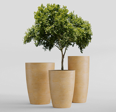 Кашпо CONCRETIKA CONUS LEMON D39H60 заказать и купить Кашпо CONCRETIKA CONUS LEMON D39H60 заказать и купить по цене 18 790 руб ниже рынка от производителя с доставкой.