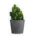Кашпо CONCRETIKA CRATER SMOKEY BLUE D40H35 заказать и купить с доставкой из магазина производителя Конкретика по цене 11 970 руб.