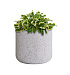 Кашпо CONCRETIKA TOPPER EGG WHITE D40H40 заказать и купить с доставкой из магазина производителя Конкретика по цене 12 420 руб.