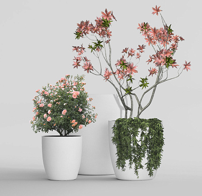 Кашпо CONCRETIKA VASE 3 SANTORINI D50H55 заказать и купить Кашпо CONCRETIKA VASE 3 SANTORINI D50H55 заказать и купить по цене 19 960 руб ниже рынка от производителя с доставкой.