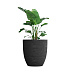 Кашпо CONCRETIKA VASE 3 EROSIA BLACK D90H95 заказать и купить с доставкой из магазина производителя Конкретика по цене 89 520 руб.