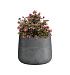 Кашпо CONCRETIKA CONE SMOKEY BLUE D24H26 заказать и купить с доставкой из магазина производителя Конкретика по цене 6 650 руб.