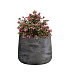 Кашпо CONCRETIKA CONE CONCRETE GREY DARK D24H26 заказать и купить с доставкой из магазина производителя Конкретика по цене 6 650 руб.