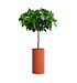 Кашпо CONCRETIKA CYLINDER TERRACOTTA D30H60 заказать и купить с доставкой из магазина производителя Конкретика по цене 14 190 руб.