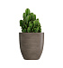 Кашпо CONCRETIKA VASE 3 SMOKEY GREY D50H55 заказать и купить с доставкой из магазина производителя Конкретика по цене 23 950 руб.