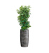 Кашпо CONCRETIKA CIGAR CONCRETE GREY DARK D37H78 заказать и купить с доставкой из магазина производителя Конкретика по цене 26 080 руб.